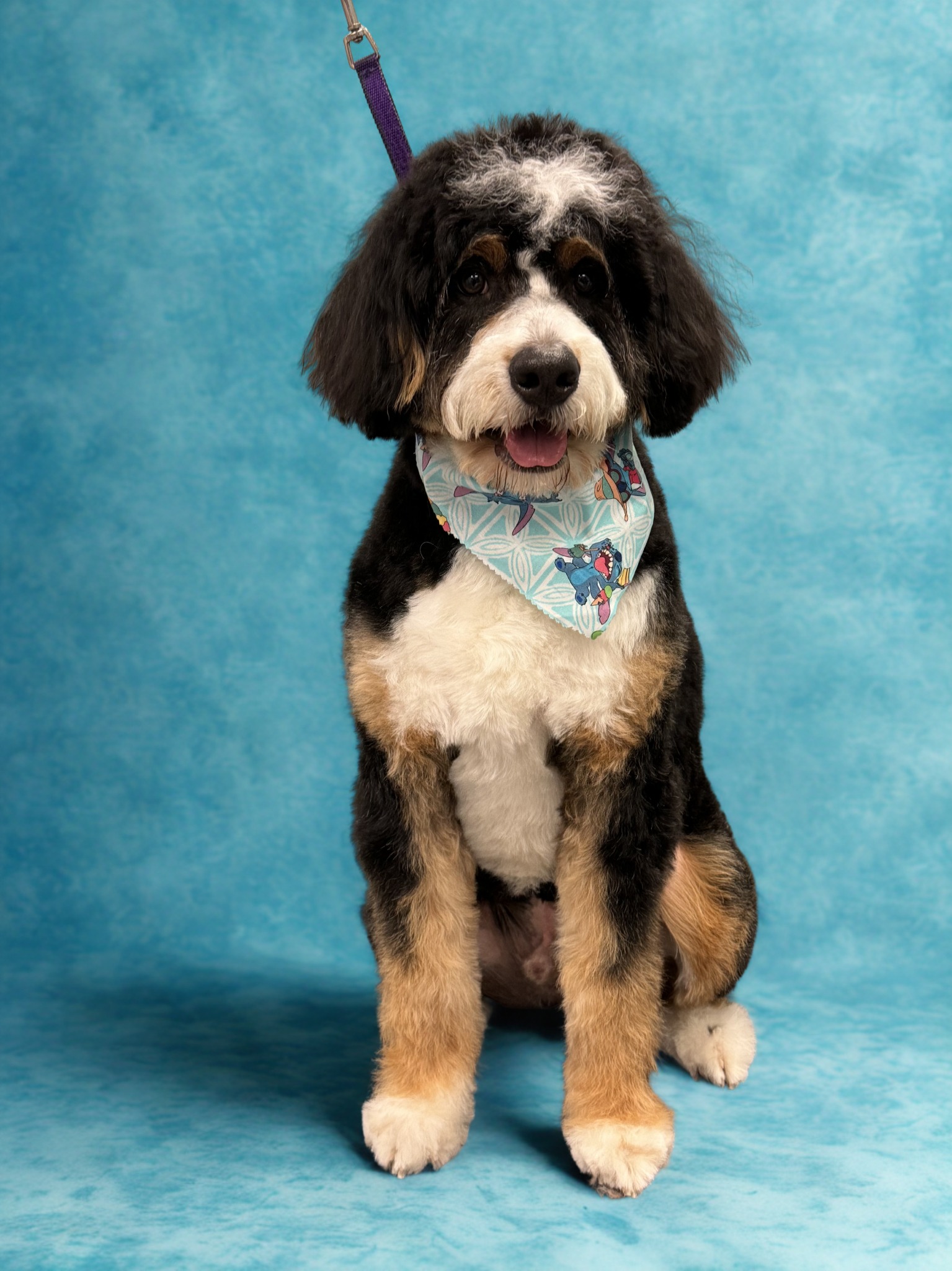 Freshly groomed dog wearing a bandana